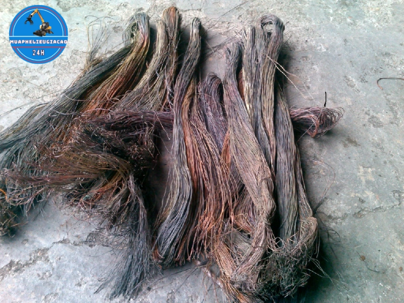 Đồng cháy