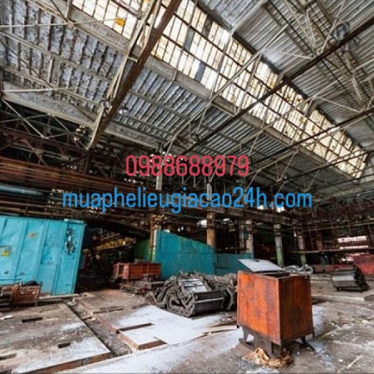 THU MUA XÁC NHÀ XƯỞNG GIÁ CAO 